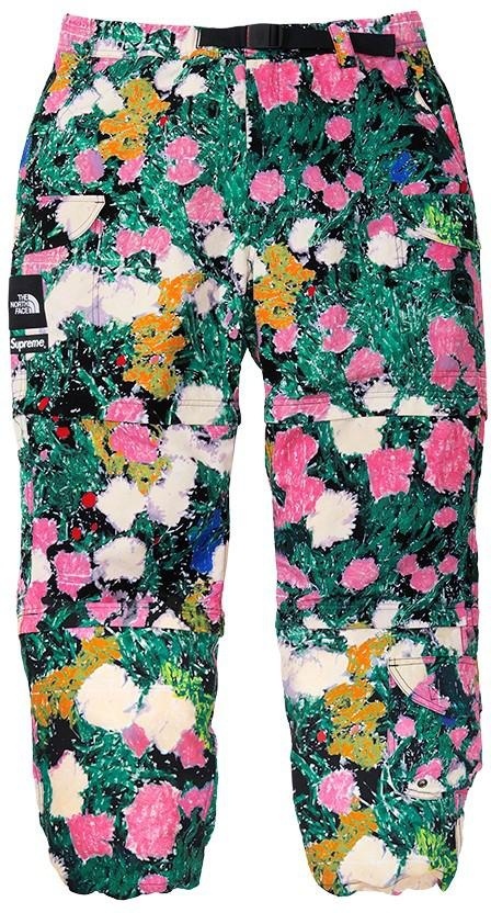 Supreme®/The North Face® Trekking Zip-Off Belted Pant view 24